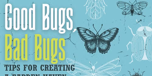 Good Bugs, Bad Bugs: Tips for Creating a Garden Haven