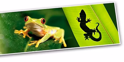 Eco Adventure's Earth Day Extravaganza