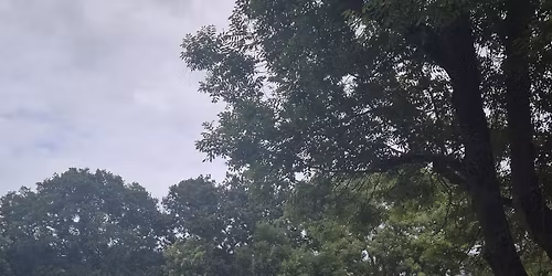 Annual Scooter Ride Out