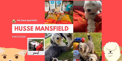 Husse fun dog show
