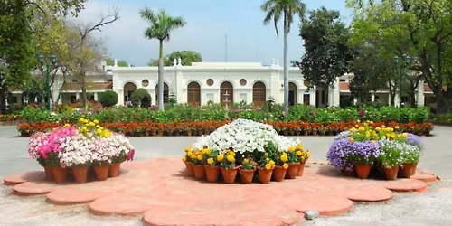 offline Retreat on Relationship Rejuvenation