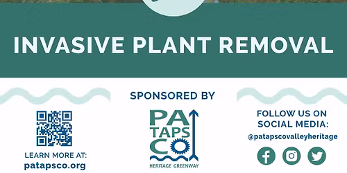 PHG & Serenity Ridge Invasive Removal