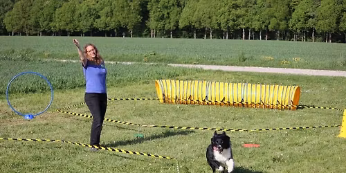 Kreatives Longieren und Treibball mit Anja Jakob