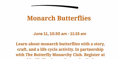 Monarch Butetrflies