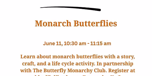 Monarch Butetrflies