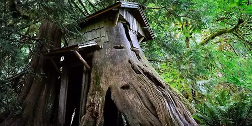 Readings - objects, texts, and other media