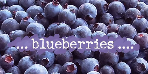 Easter Festival\/Blueberry Upick!