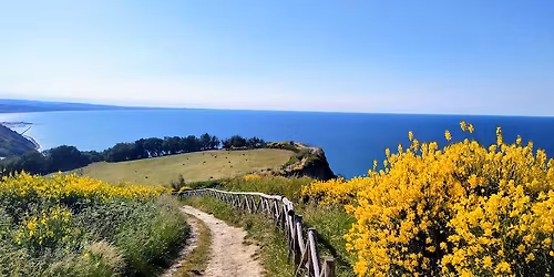 Da Pesaro a Gabicce. Il giallo delle ginestre a picco sul mare (PU)
