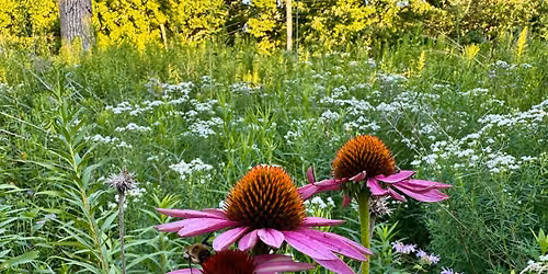 Arboretum Nature Walk