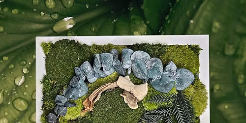 Framed in Nature: A Botanical Moss Art Workshop