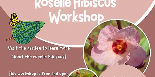 Roselle Hibiscus Workshop