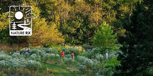 Nature Rx | Mindfulness Walk