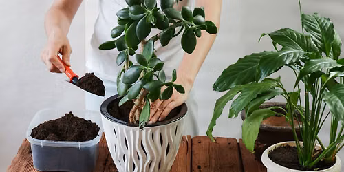 Propagation Station | Community Plant Swap at Valley View Independent Living
