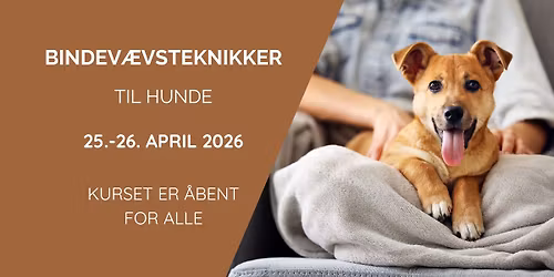 BINDEV\u00c6VSTEKNIKKER til hunde - sidste kursus i 2026
