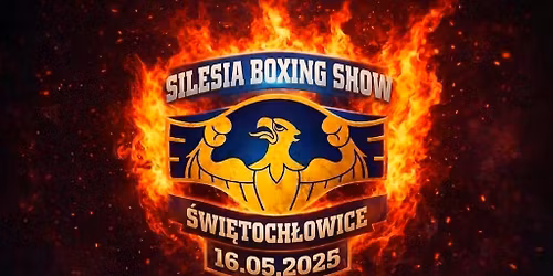 \ud83e\udd4a Silesia Boxing Show: Fight Night