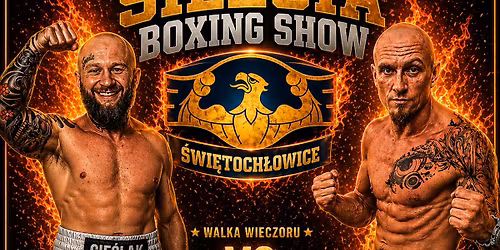 \ud83e\udd4a Silesia Boxing Show: Fight Night
