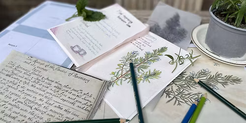 Make your own herbal: children\u2019s halfterm workshop