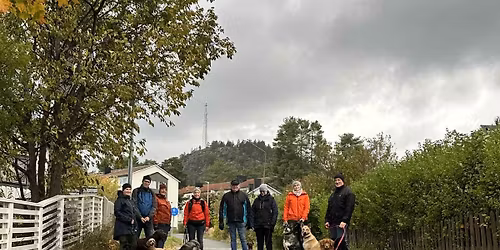 Gemensam hundpromenad 17 december