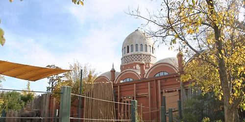 The Second Oldest (and Best) Zoo in America