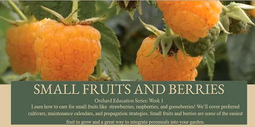 Small Fruits and Berries: Orchard Education Series