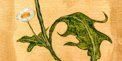 Om L\u00f8vetann and Other Sacred plants-Frida Hansens- Exhibition