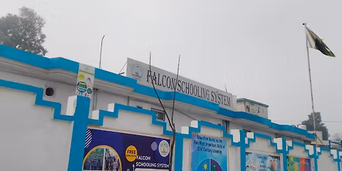 Annual Falcon Sports fest