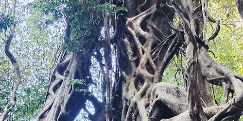 6A3: Nam Cat Tien National Park: Where Nature's Wonders Come Alive!