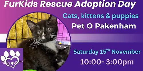 Adoption Day- Saving lives!!!