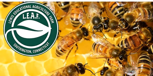 An Introductory Class, All About Honey Bees