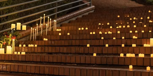 Wave of Light