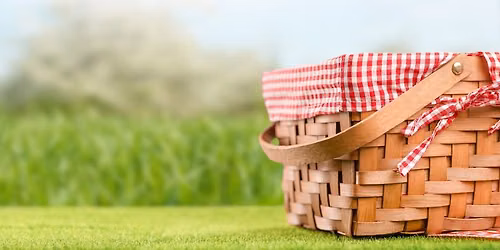 Picnic in the Park