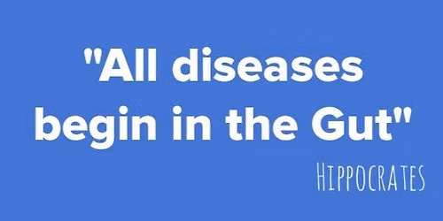 How a Diverse Plant-Based Diet Fuels your Microbiome (Pgh. South)