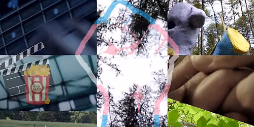 Trans Film Fest: Stories by us, not about us.