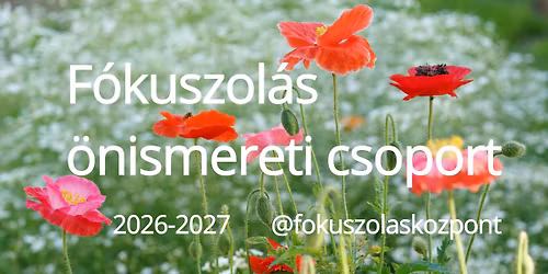 150 \u00f3r\u00e1s F\u00f3kuszol\u00e1s-orient\u00e1lt \u00f6nismereti csoport