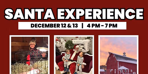 Santa Experience