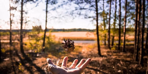 Hypnosis for Letting Go: An Experiential Workshop