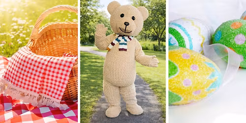 Teddy Bear Picnic \ud83e\uddf8