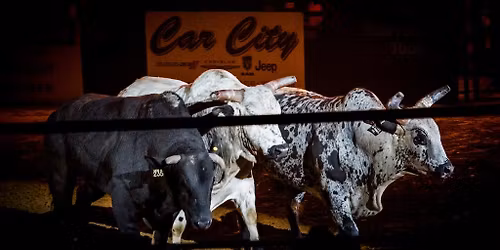 Amped Up Bull Riding