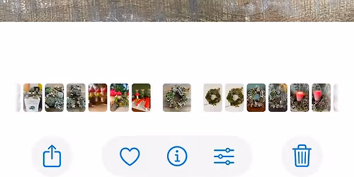 Succulent Wreath Workshop