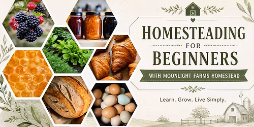 Homesteading for Beginners