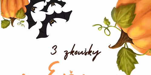 3 hoop zkou\u0161ky s Ev\u017eou a Kv\u011btkou - \u010celadn\u00e1