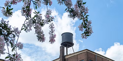 Northrup King Nights