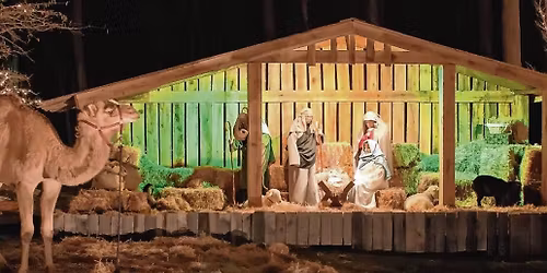 Youth Trip to see Live Nativity