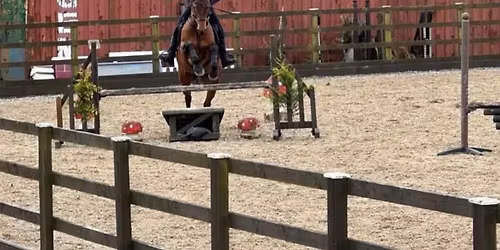 Arena Eventing Challenge 