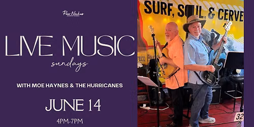 LIVE MUSIC SUNDAYS- MOE HAYNES