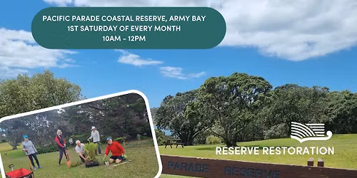 Pacific Parade Coastal Reserve, Army Bay - Volunteer Restoration Morning