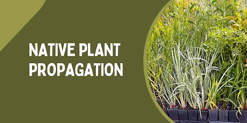 Native Plant Propagation