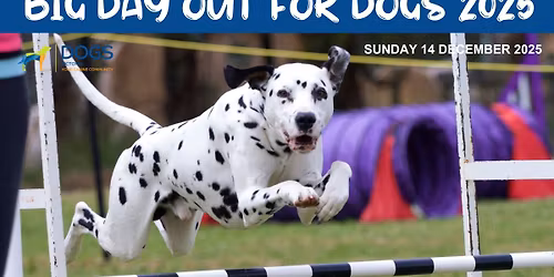 Big Day Out for Dogs & Canine Christmas Market 2025