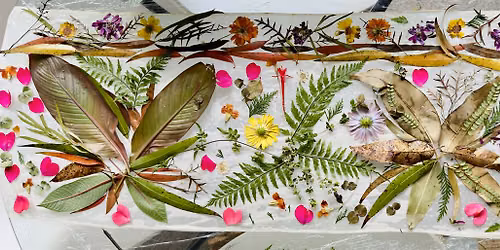 Introduction to Botanical Printing with Jacqueline Tsang