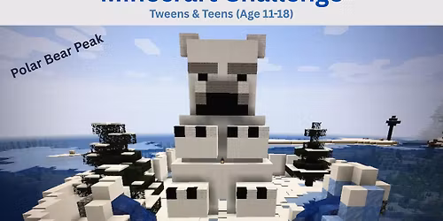 Minecraft Challenge @ DFS Library